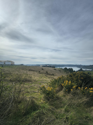 terreno-con-vista-al-mar-en-chiloe-1