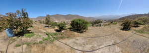 se-vende-terreno-c/arboles-frutales,-el-rosario-1