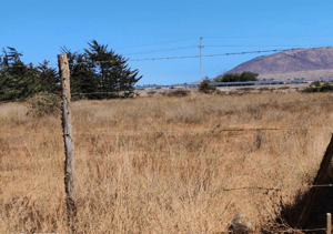 venta-terreno-5500-mts-orilla-ruta-5-tongoycil-1