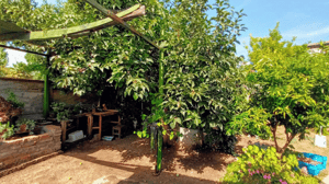 casa-con-amplio-terreno-en-chillan-viejo-1