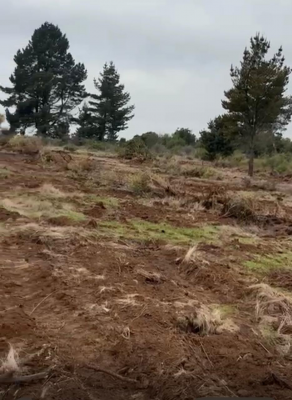 -3