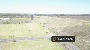 parcela-de-5000m2-a-12-minutos-de-chillan-1