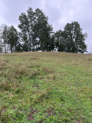 gran-oportunidad-de-inversion-parcela-5000m2-1