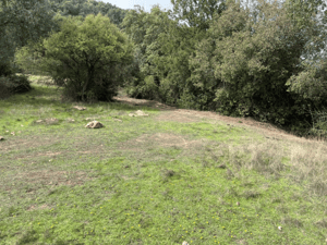 venta-hermoso-terreno-con-orilla-de-estero-1