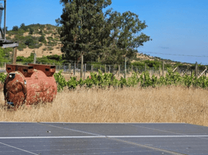 parcela-con-agua-y-luz-a-130-kms-de-santiago-1