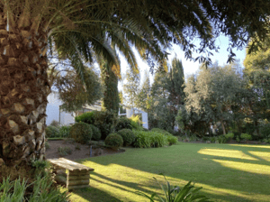 -3