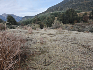 inversion-segura-en-entorno-natural-(165766)-1