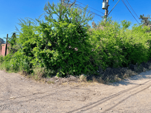 venta-de-terreno-maipu/abrazo-(71199)-1