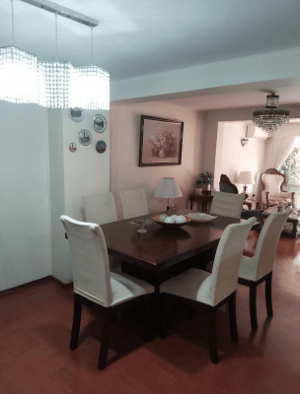 vendo-casa-con-destino-comercial-en-av-macul-1