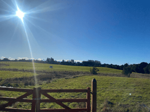 venta-de-2,5-hectareas-en-puerto-varas-1