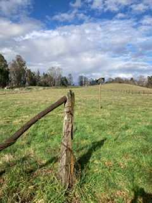 pitrufquen,terreno-cercado-con-empalme-de-luz-(-1
