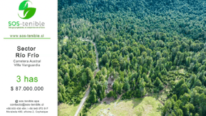invierte-en-3-hectareas-de-bosque-nativo-en-aysen-1