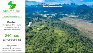 invierte-en-240-has-de-naturaleza-en-la-zona-no-1