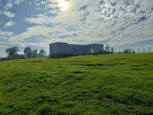 110076856-1