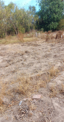 venta-terreno-urbano-4244-almendral-san-felipe-1