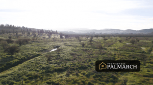 parcelas-en-venta-en-ninhue-region-de-nuble-1