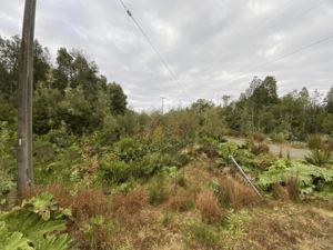 vendo-parcela-en-campos-neo-alerce,-puerto-montt-1