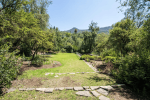 terreno-de-5015m2,-rodeado-de-naturaleza-(166940)-1