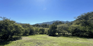 venta-terreno---sitio-5000mts-olmue-1