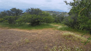 oportunidad-sitio-san-pedro-quillota-(154645)-1