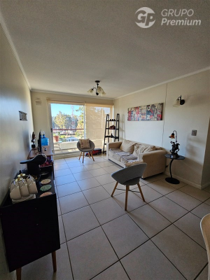-4