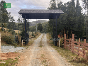 parcela-14000-mts-2-sector-rio-blanco-fresia-1