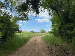 espectacular-campo-a-la-venta-en-teno-(130845)-1