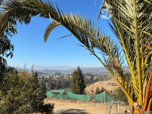 -3