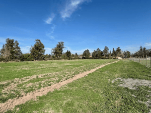 maravillosas-parcelas-de-5000-m2-santa-rita-de--1