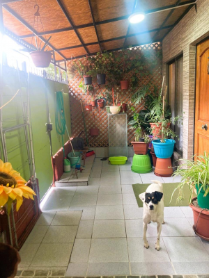 inversion-con-plusvalia-futura---casa-2d,-1b-en-1