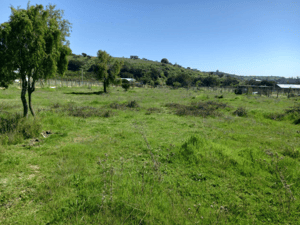 invierte-en-tu-parcela-con-luz-y-pozo,-5000m2,--1