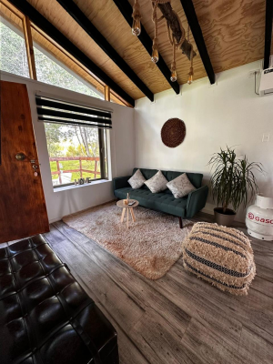 se-vende-media-hectarea-en-yumbel-1
