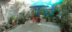 casa-con-2-dptos-interiores-y-local-comercial-1