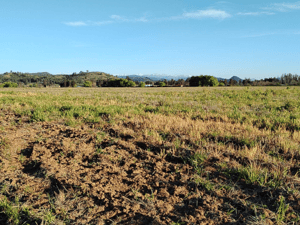 campo-33,5-ha,-plano,-buen-acceso,-san-clement-1