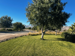 hermosa-parcela-con-extencion-urbana-en-copiapo-1