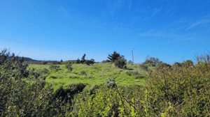 linda-parcela-el-convento-santo-domingo-(119515)-1