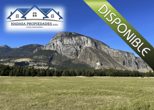amplio-terreno-para-desarrollo-inmobiliario-1