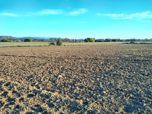 campo-33,5-ha,-plano,-buen-acceso,-san-clement-1
