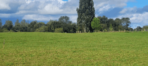 parcela-5000m2-rol-propio-resolucion-sag-1