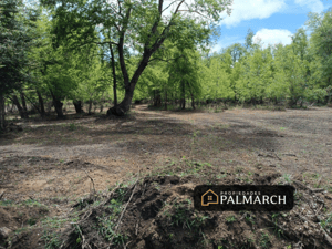 parcelas-en-venta-los-lleuques-montana-y-natu-1