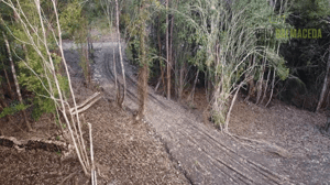 114007960-1