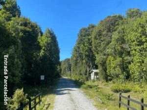 parcela-con-bosque-nativo-en-puerto-varas-1