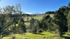 parcela-con-vista-a-volcanes-y-lago-en-sector-l-1