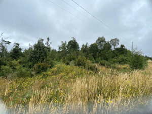 vendo-parcela-en-colonia-tres-puentes,-puerto-v-1