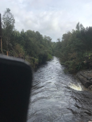 -5