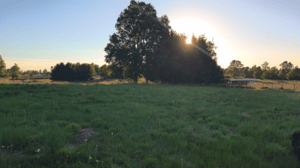 venta-parcela-5000mts-frutillar-1
