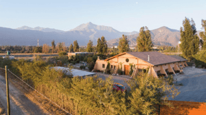 gran-y-hermosa-casa-en-olmue-de-340-m2-1