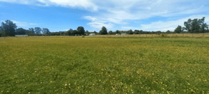 terreno-agricola-en-venta-rio-bueno,-sector-hu-1