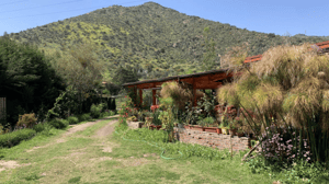 hermosa-parcela-de-agrado-en-altos-del-maipo,-buin-1