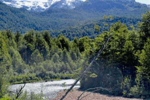 -5